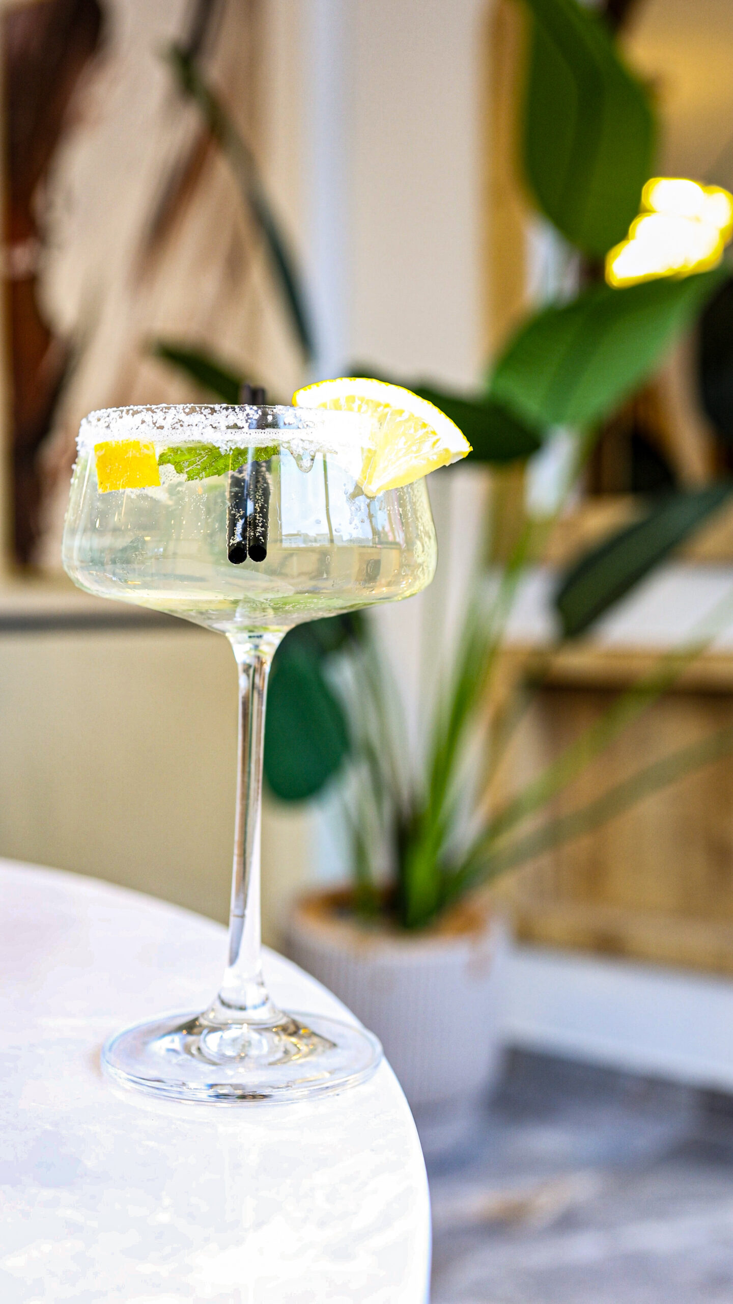 Mojito